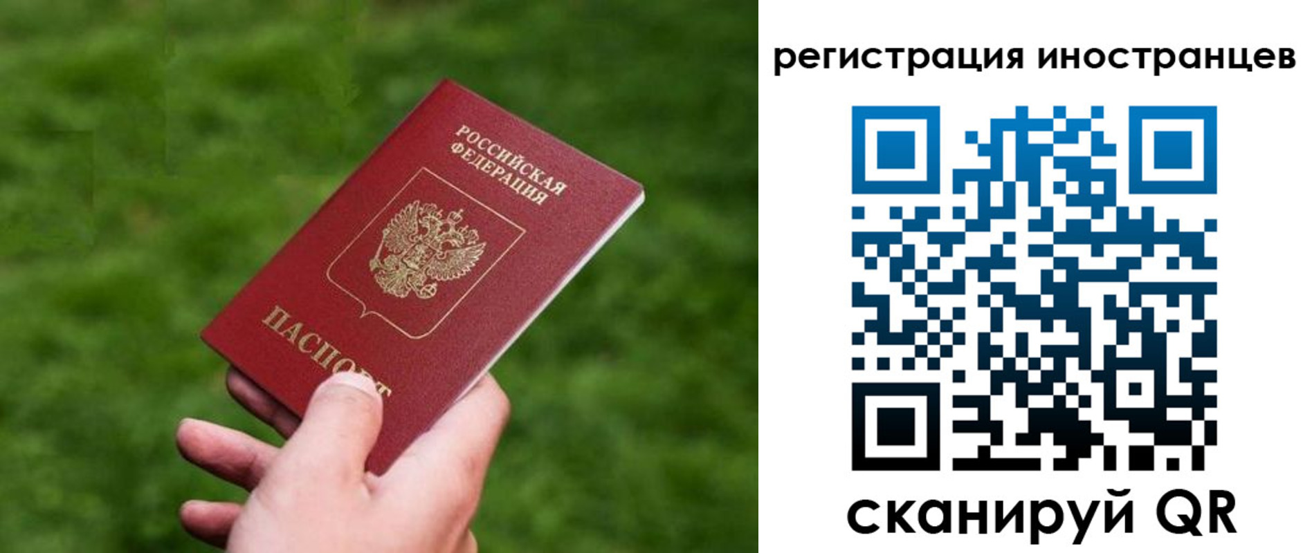 прописка ребенка в Кировграде